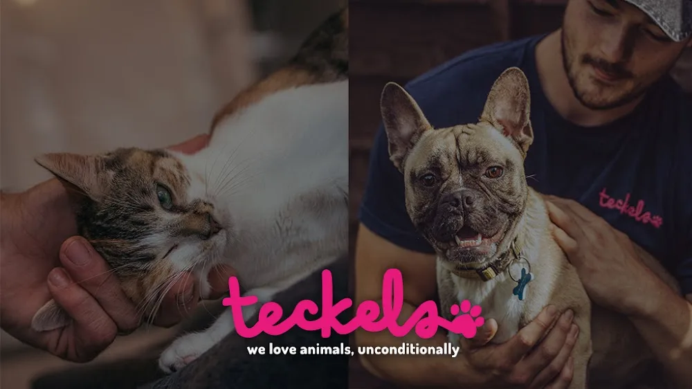 Teckels Animal Sanctuaries and Boarding - Gloucestershire pet otel