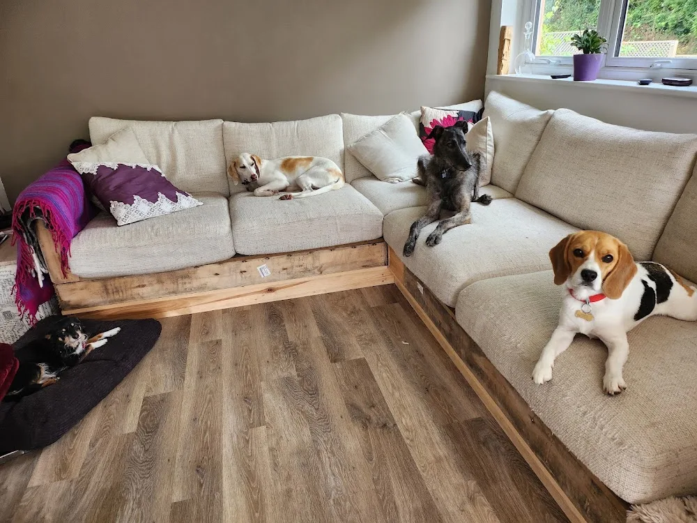 The Dog House - Gloucestershire pet otel görseli 3