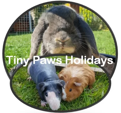 Tiny Paws Holidays - Gloucestershire pet otel görseli 2