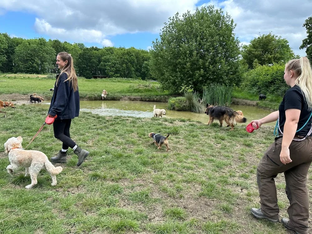 Waterloo Kennels - Gloucestershire pet otel görseli 3