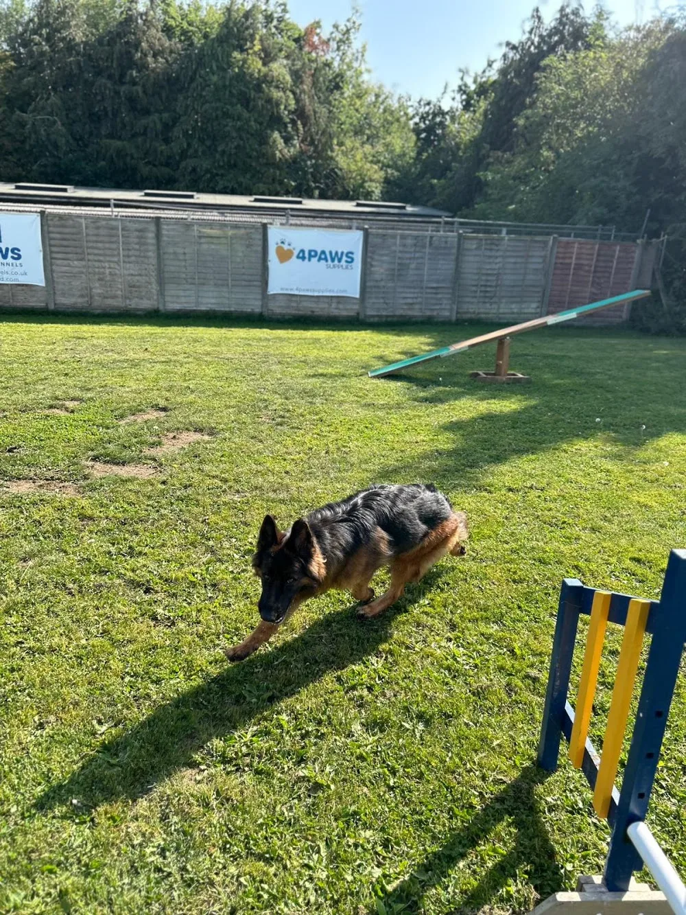 4 Paws Kennels - Godstone pet otel