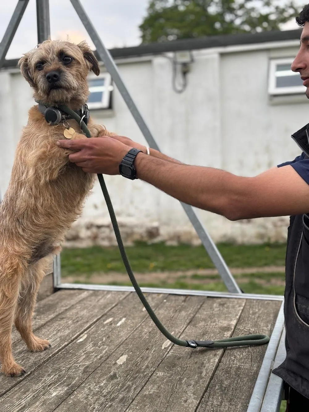 4 Paws Kennels - Godstone pet otel görseli 3