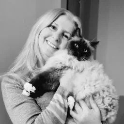 Banstead Boarding Cattery - Godstone pet otel görseli 4