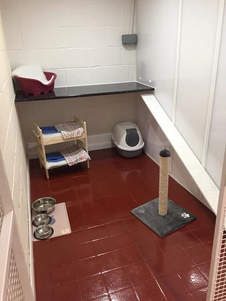 Bridge Farm Cattery - Godstone pet otel