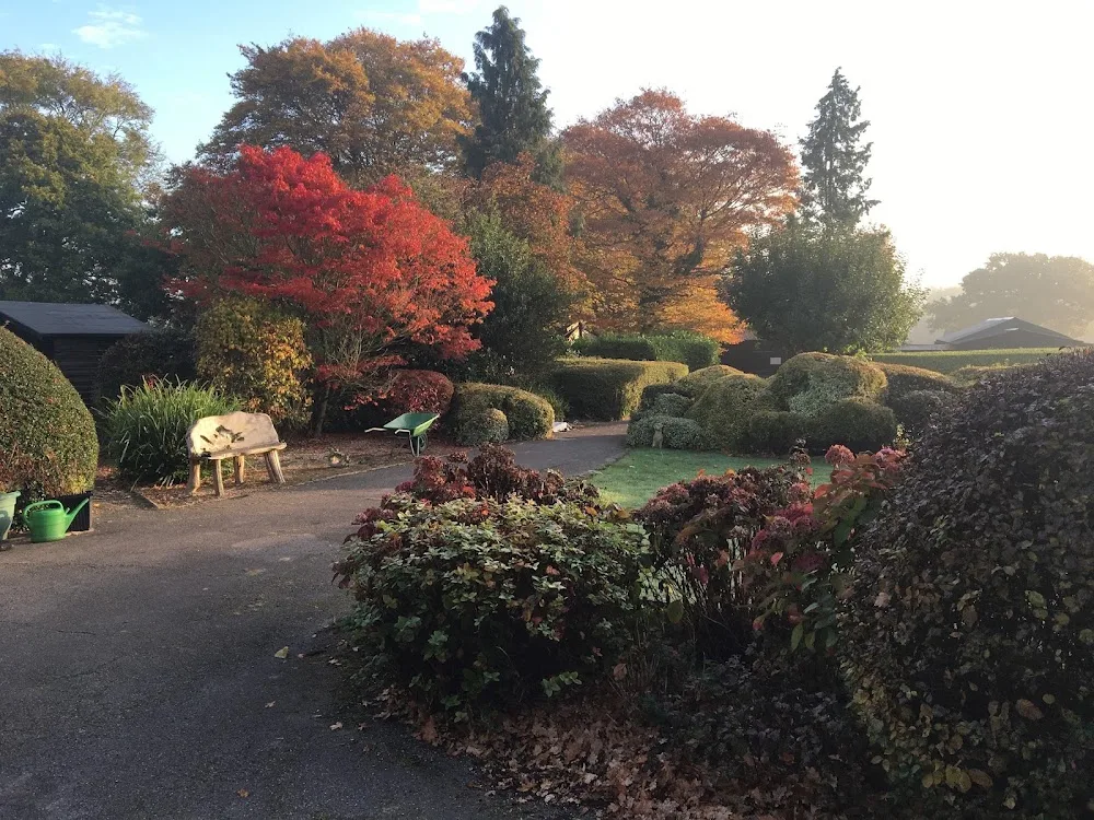 Greenacres Boarding Kennels Ltd - Godstone pet otel
