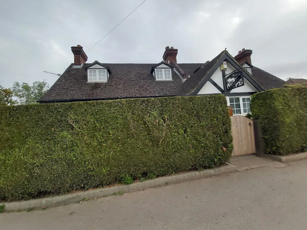 Hilltop Cattery - Godstone pet otel