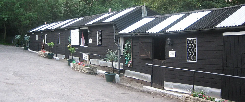 The Mardens - Godstone pet otel