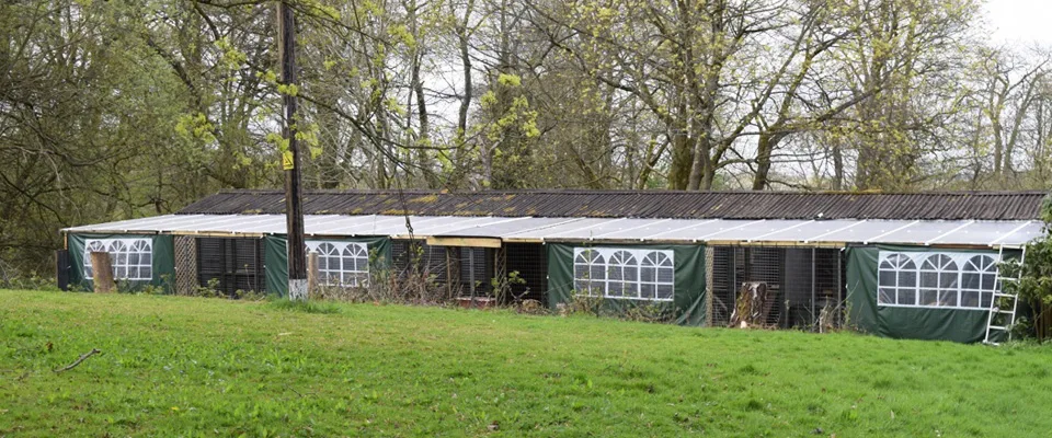 The Mardens - Godstone pet otel görseli 3