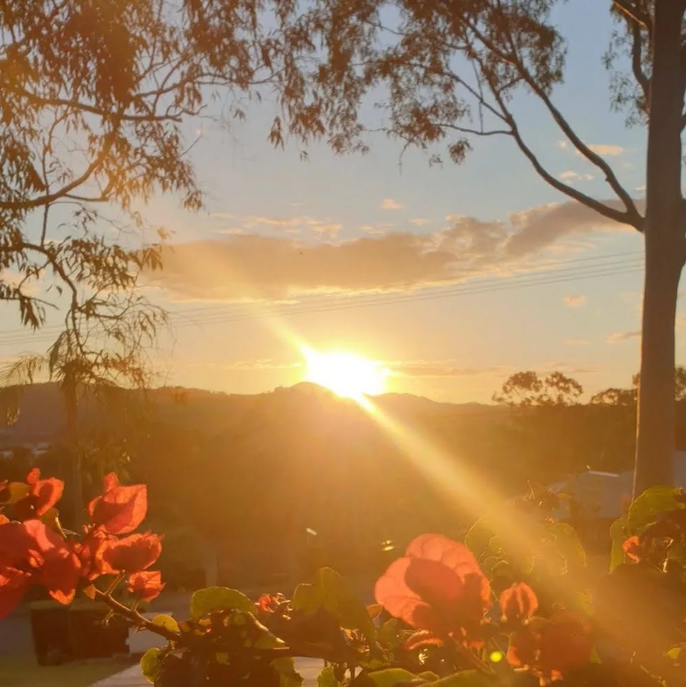 Barkroyal Boutique Pet Resort - Gold Coast pet otel görseli 4