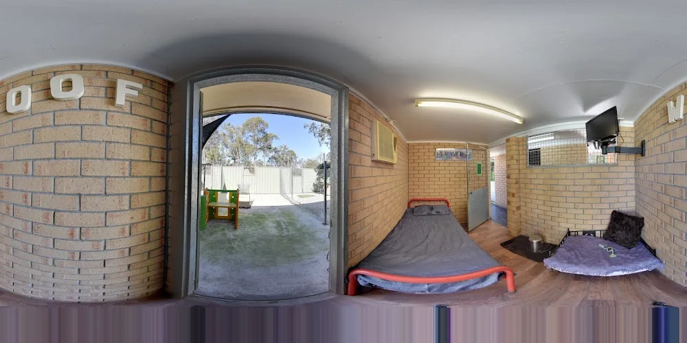 Beenleigh Pet Motel - Gold Coast pet otel görseli 3
