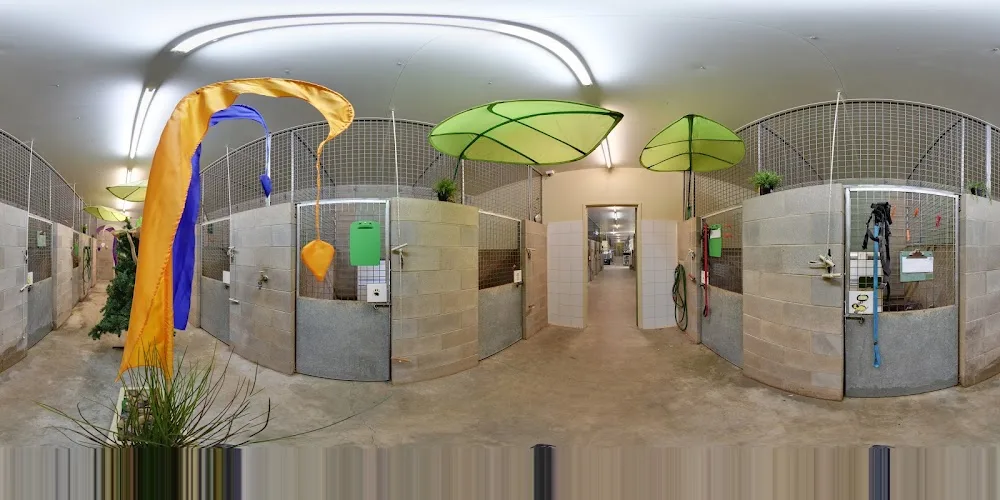 Beenleigh Pet Motel - Gold Coast pet otel görseli 8