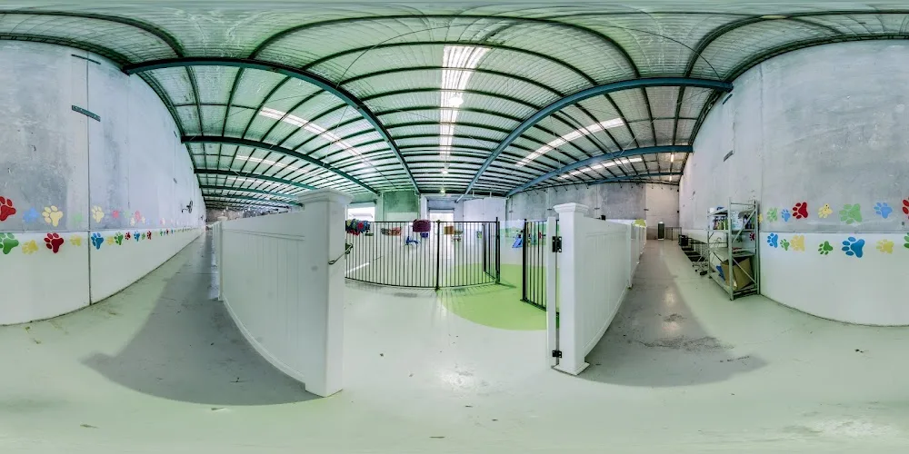 Fetch 'n' Fun Wellness and Daycare - Gold Coast pet otel görseli 3