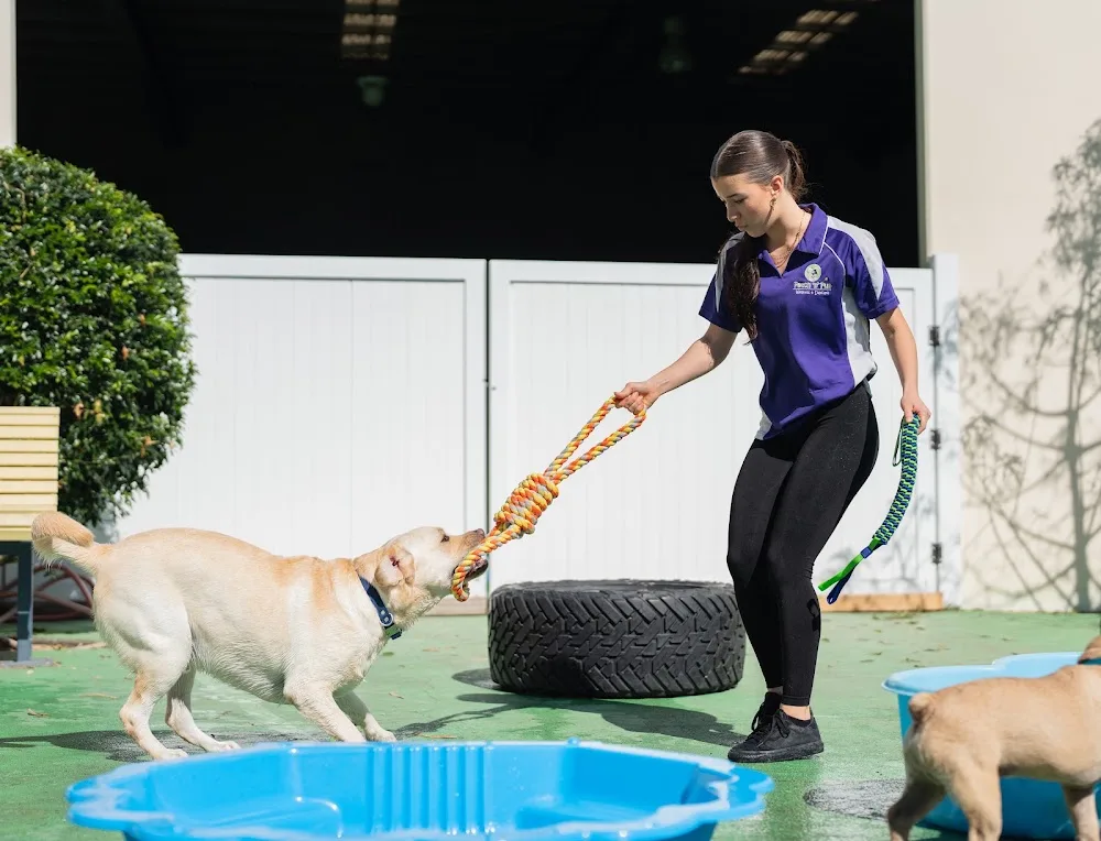 Fetch 'n' Fun Wellness and Daycare - Gold Coast pet otel görseli 5