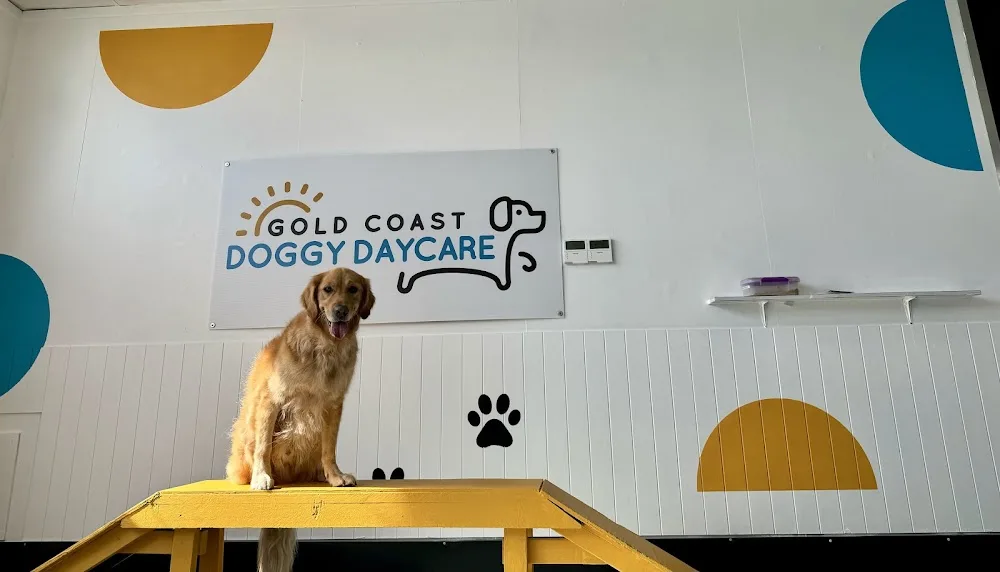 Gold Coast Doggy Daycare - Gold Coast pet otel