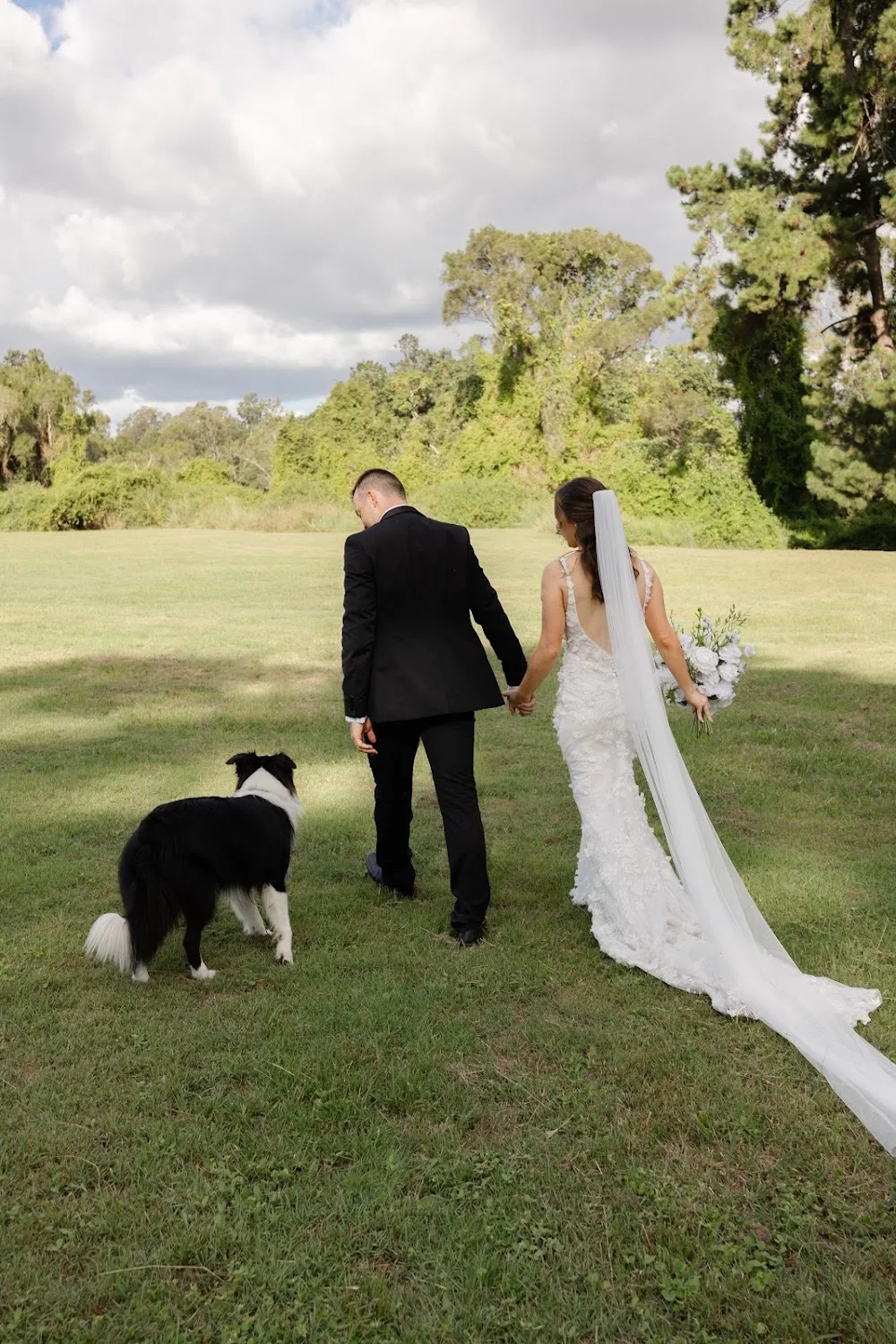 Happy Hounds Dog Walking and Pet Sitting - Gold Coast pet otel görseli 3