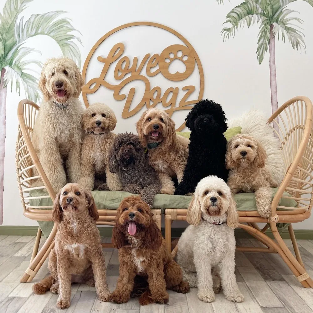 Love Dogz - Gold Coast pet otel görseli 2