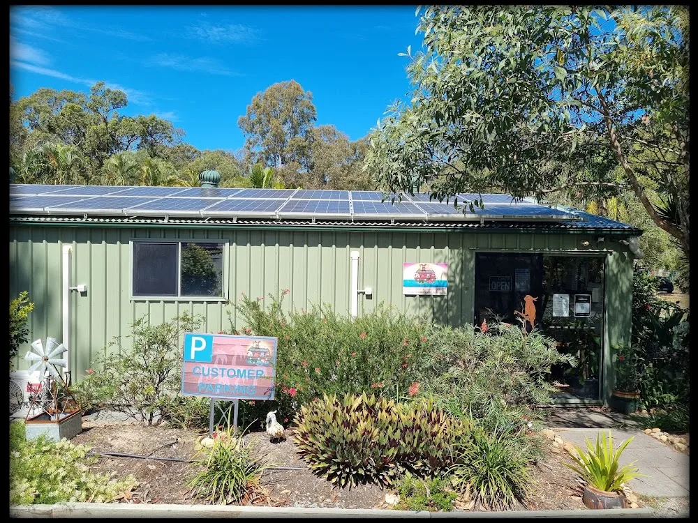Noah's Ark Pet Resort - Gold Coast pet otel görseli 2