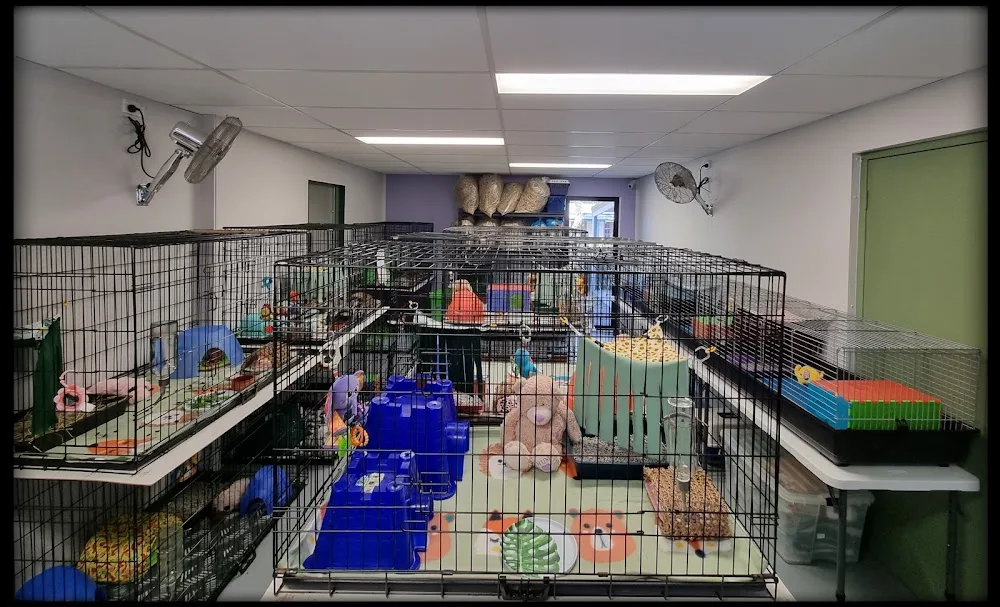 Noah's Ark Pet Resort - Gold Coast pet otel görseli 7
