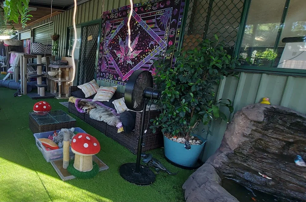 Purrlazzo Cattery - Gold Coast pet otel görseli 3