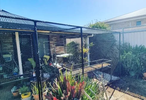 Simply Cat Enclosures | Cat Enclosures Gold Coast & Brisbane - Gold Coast pet otel görseli 2