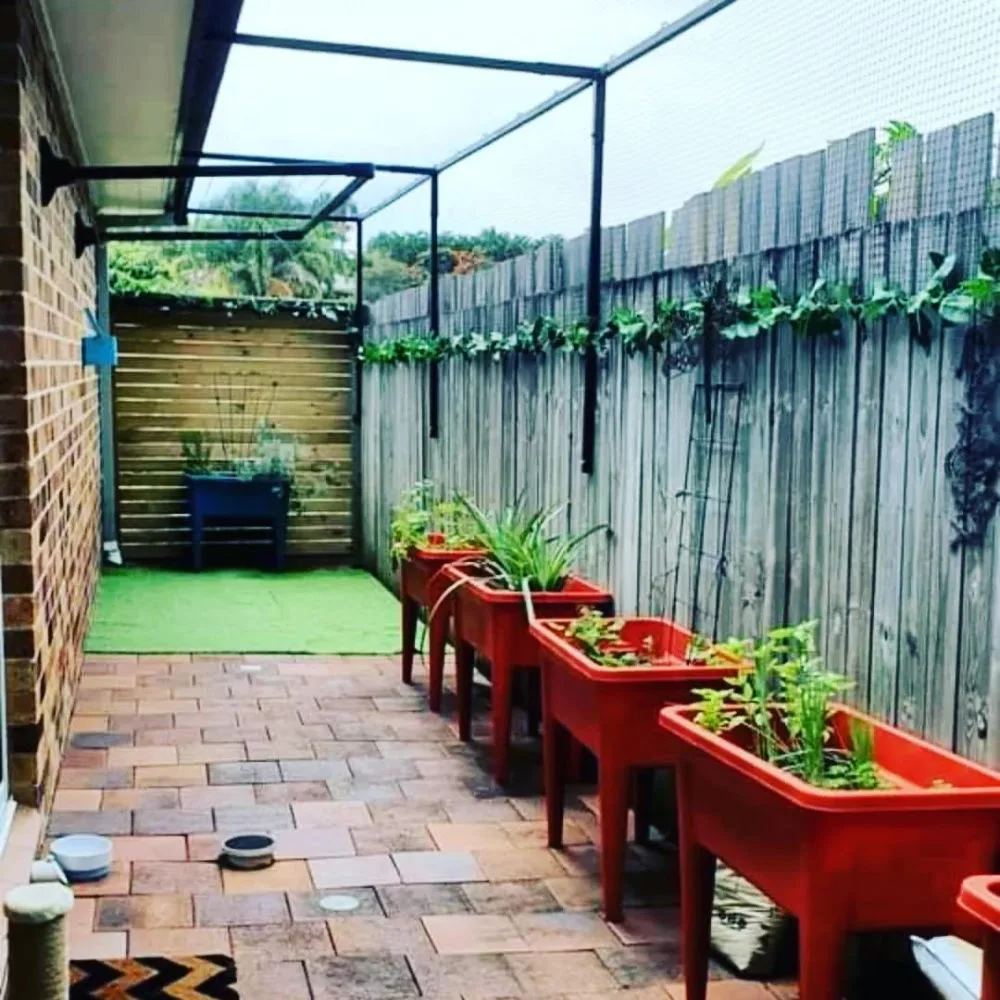 Simply Cat Enclosures | Cat Enclosures Gold Coast & Brisbane - Gold Coast pet otel görseli 3