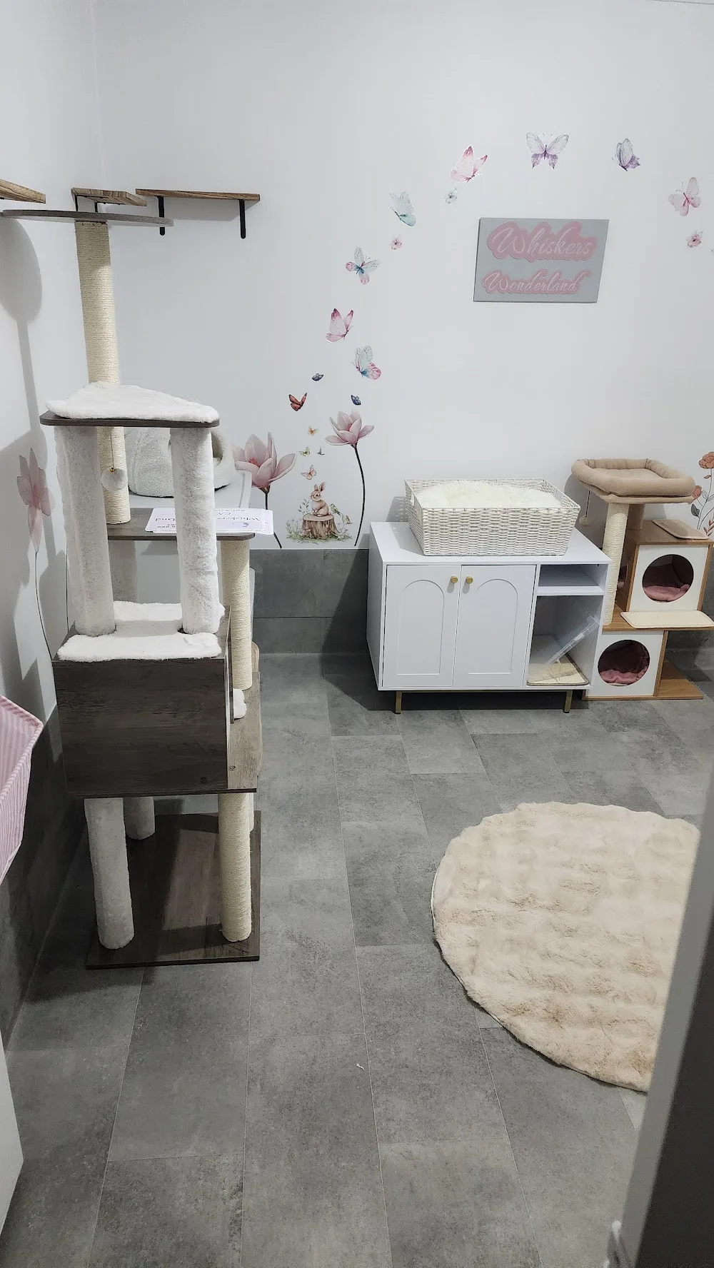 Whiskers Wonderland Cattery accommodation - Gold Coast pet otel görseli 2
