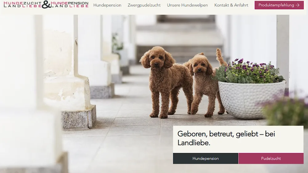 Hundezucht & Hundepension Landliebe, Marion Siegel - Göllersdorf pet otel görseli 2