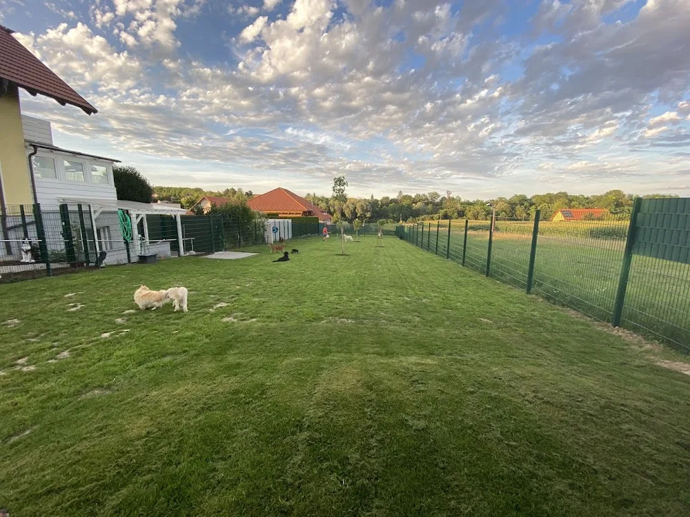Laulis Hundesalon und Hundepension - Göllersdorf pet otel görseli 3