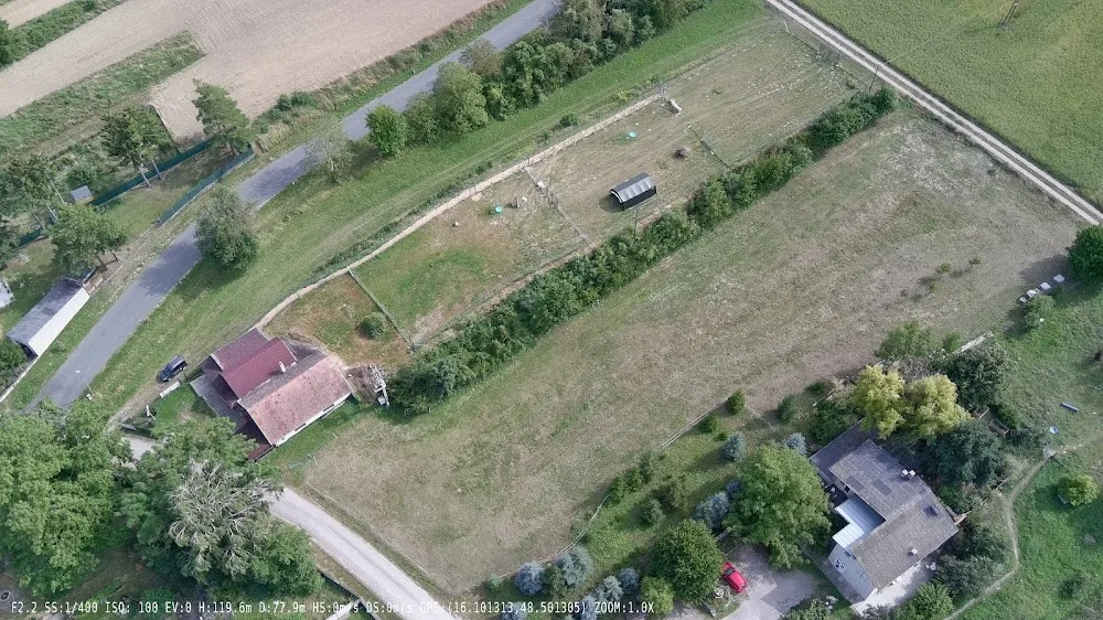 Wuff Paradies - Göllersdorf pet otel görseli 3