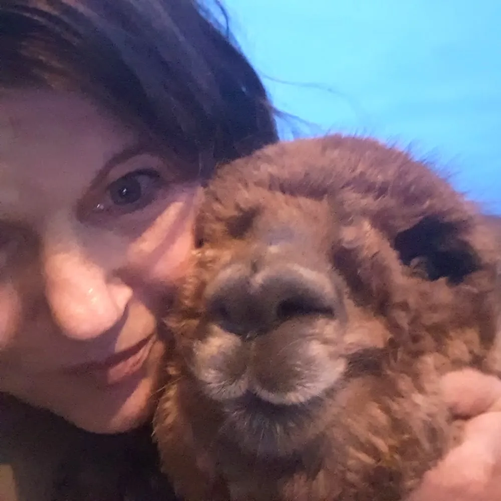 Hundeschule "Hundemensch" - Göpfersdorf pet otel görseli 4