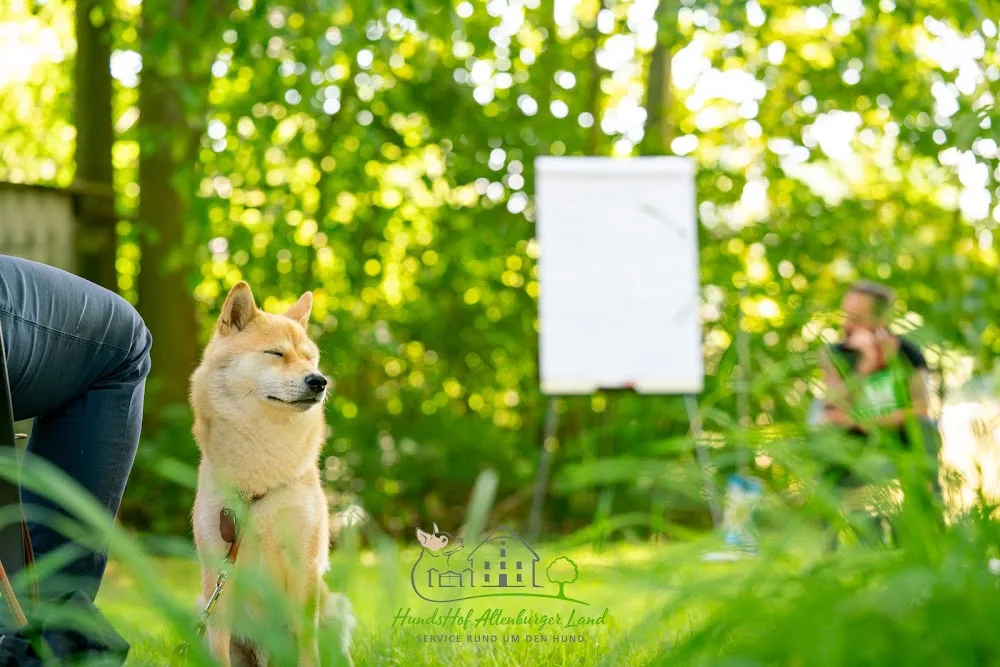 HundsHof Altenburger Land - Göpfersdorf pet otel görseli 3