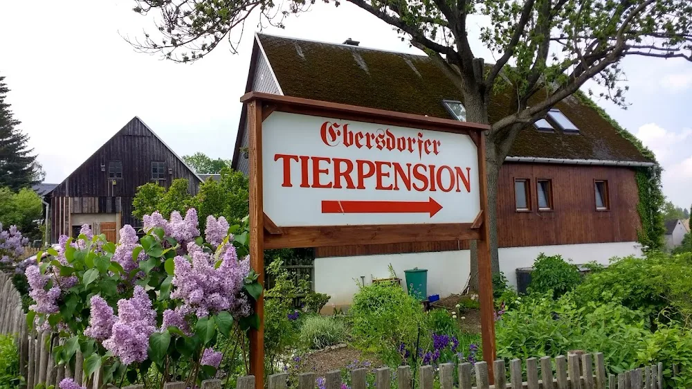 Katzenpension Ebersdorf - Göpfersdorf pet otel görseli 2
