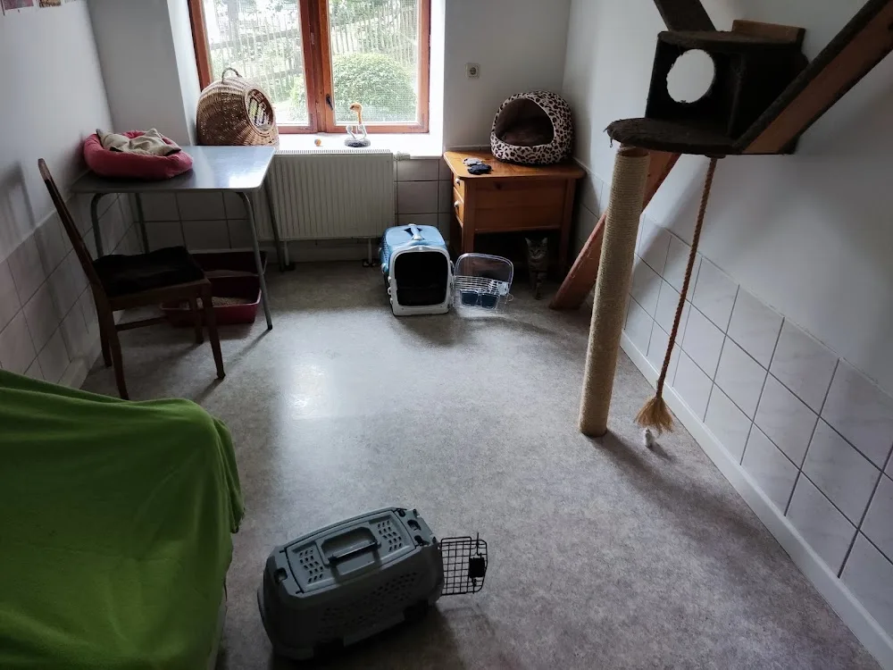Katzenpension Ebersdorf - Göpfersdorf pet otel görseli 3