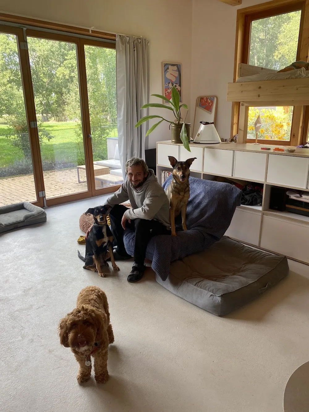WAU Hundetagesstätte- und Pension - Göpfersdorf pet otel görseli 6