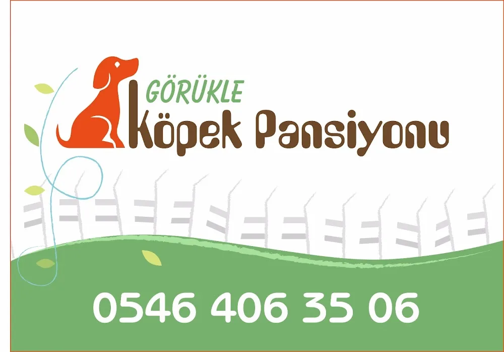 Görükle Köpek Pansiyonu - Bursa pet otel görseli 3