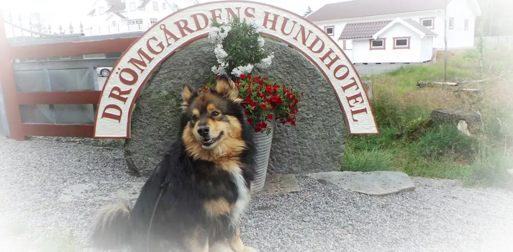 Drömgårdens Hundhotel - Gothenburg pet otel görseli 2