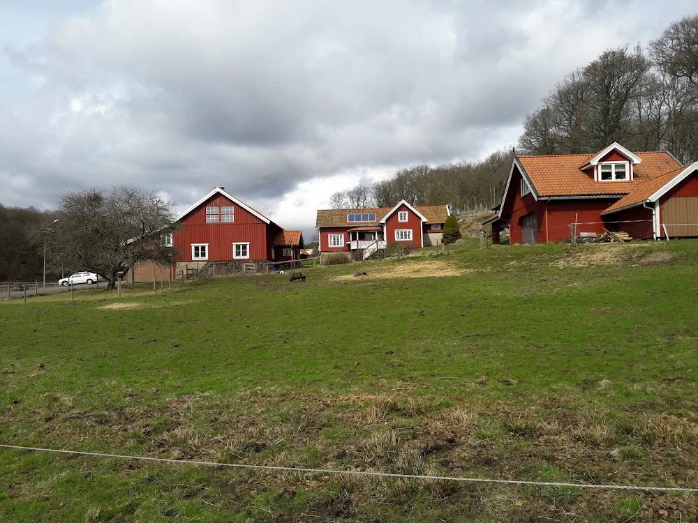 Skolleras Hundpensionat - Gothenburg pet otel