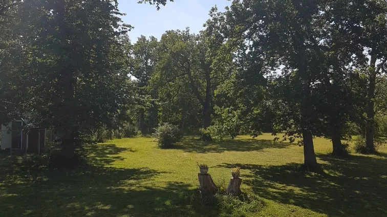 Hundpensionat Pyssla - Gotland pet otel