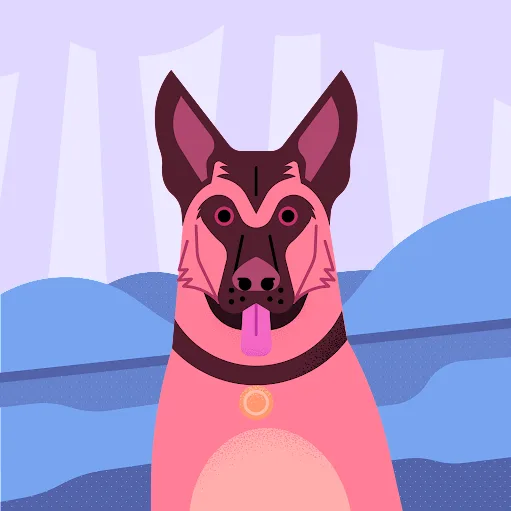 Hundpensionat Pyssla - Gotland pet otel görseli 5