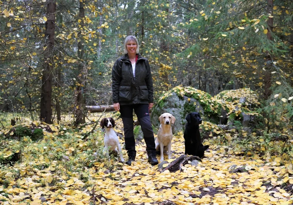 Ice Miracle's kennel och kurser - Gotland pet otel