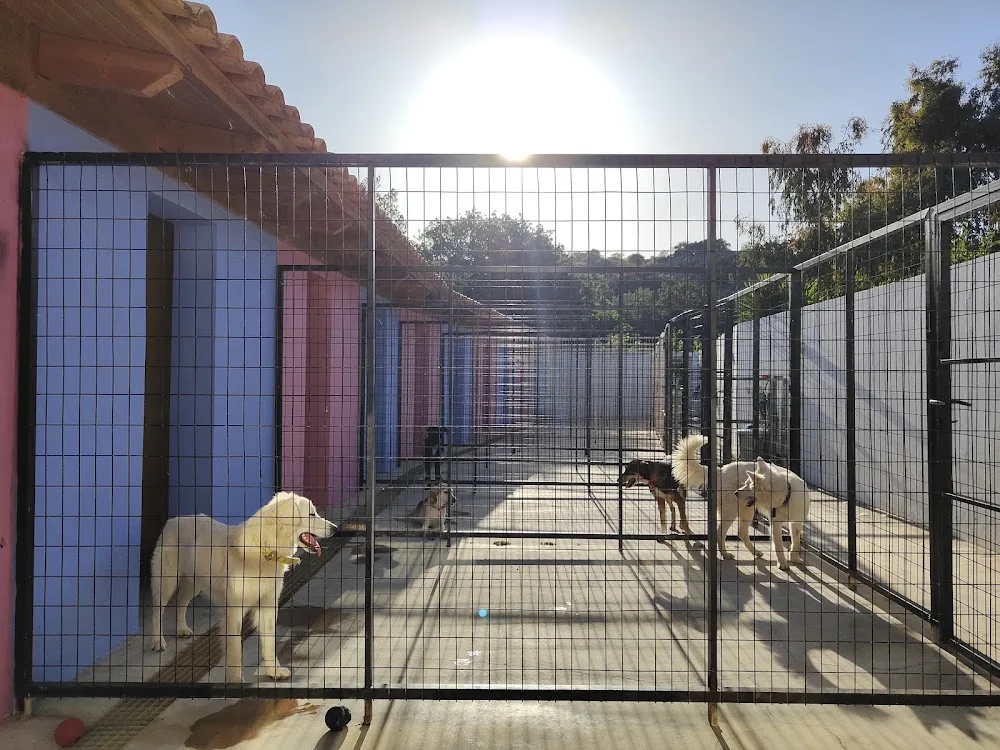 Koulouki - Crete pet otel