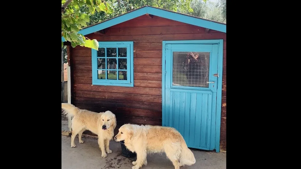 "Las Chiveas" - Granada pet otel görseli 2