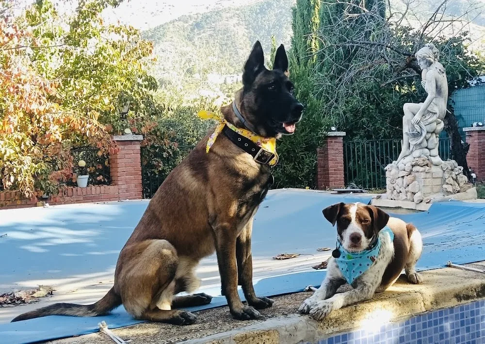 "Las Chiveas" - Granada pet otel görseli 3