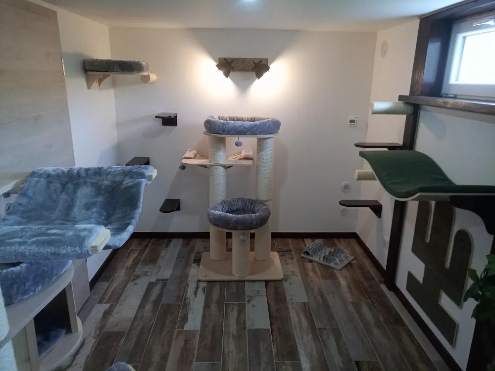 Allondrelle la Malmaison ''Pension Féline Degamesofcats'' auberge pour chats - Grand-Est pet otel