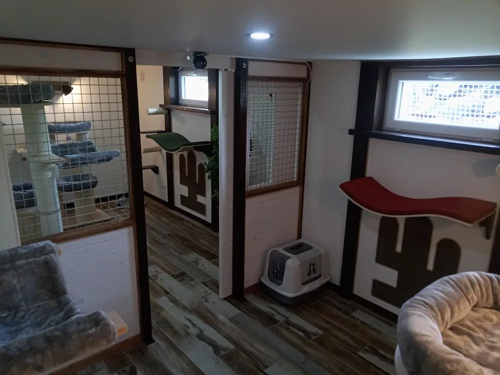 Allondrelle la Malmaison ''Pension Féline Degamesofcats'' auberge pour chats - Grand-Est pet otel görseli 3