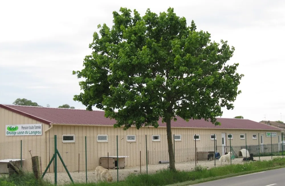 centre Canin du Longeau - Grand-Est pet otel görseli 3