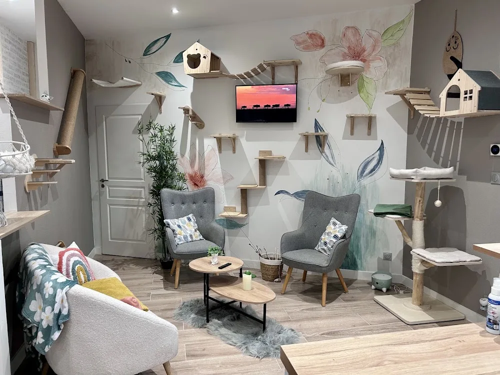 Cosy cats - Grand-Est pet otel görseli 6