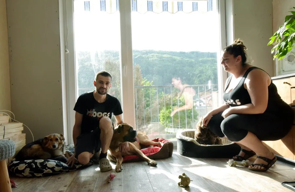Dogs-sitter 57 - Grand-Est pet otel görseli 2