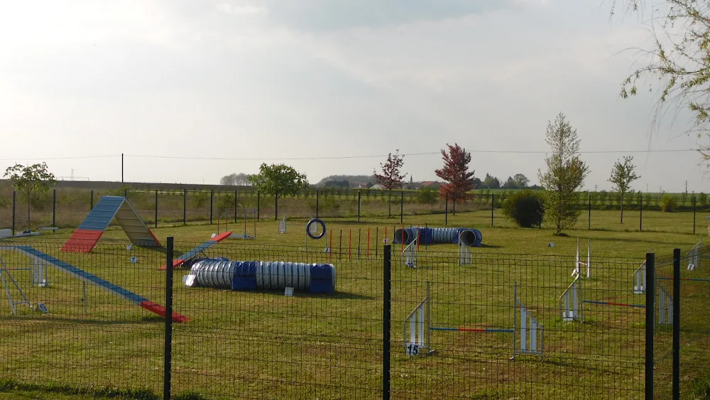 Domaine Bonheur Canin - Grand-Est pet otel görseli 2