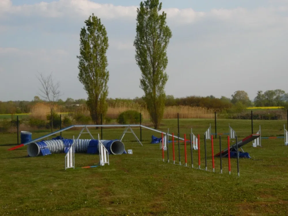 Domaine Bonheur Canin - Grand-Est pet otel görseli 3